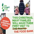 It’s their first Christmas at a food bank…