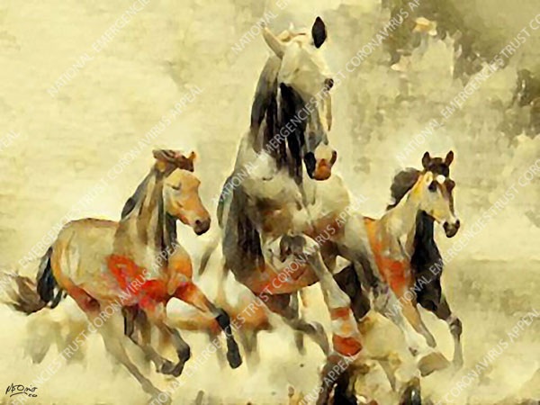 Horses