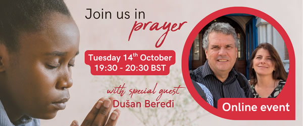 29afa21b-366b-3b10-6b5f-84cfb7