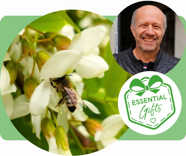 1e51beb3-51c8-bc6e-b3cf-71e4c1