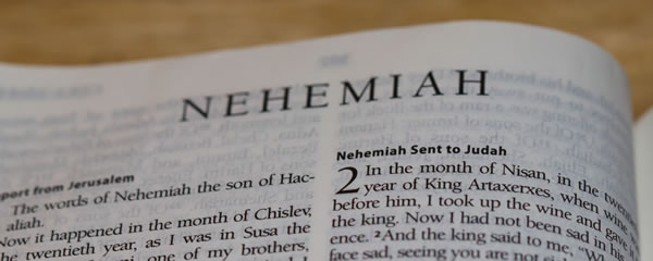 e46da289-3b71-7f9a-96d0-232477