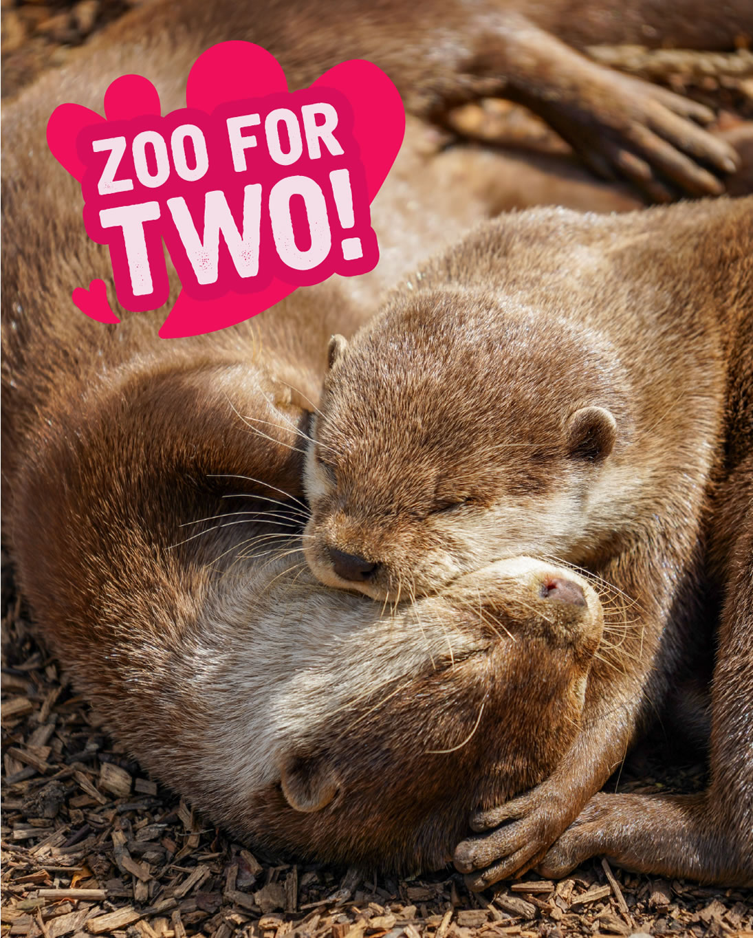 f24e8850-bf01-19fa-cf68-ec1e8d