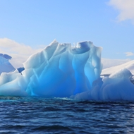 Iceberg web